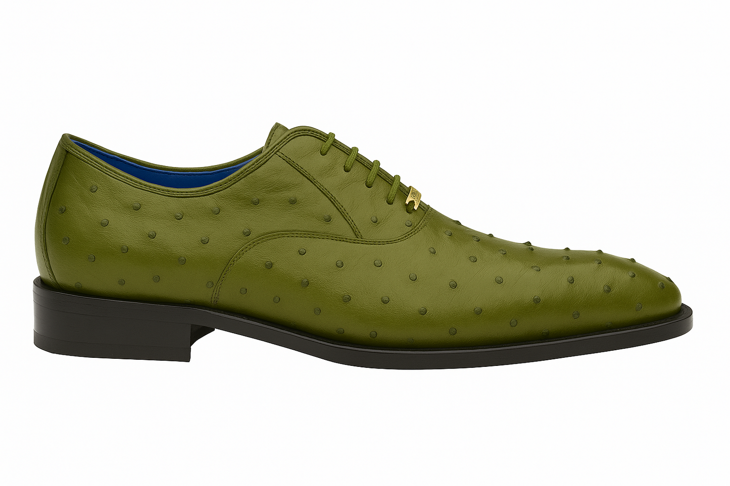 The BELVEDERE Orlando is an olive genuine ostrich quill lace-up dress shoe with a blue leather lining, gold lace ornament, and black sole, displayed on a white background.
