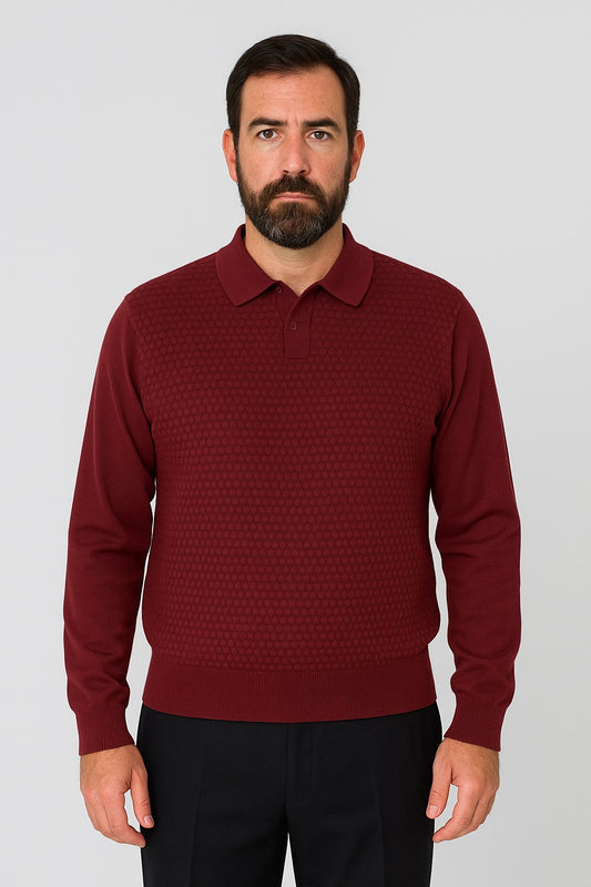 Man with short dark hair and beard wears the Bassiri Long Sleeve Collar Neck Plum Sweater 640 by Bassiri and black pants, standing against a plain light gray background.