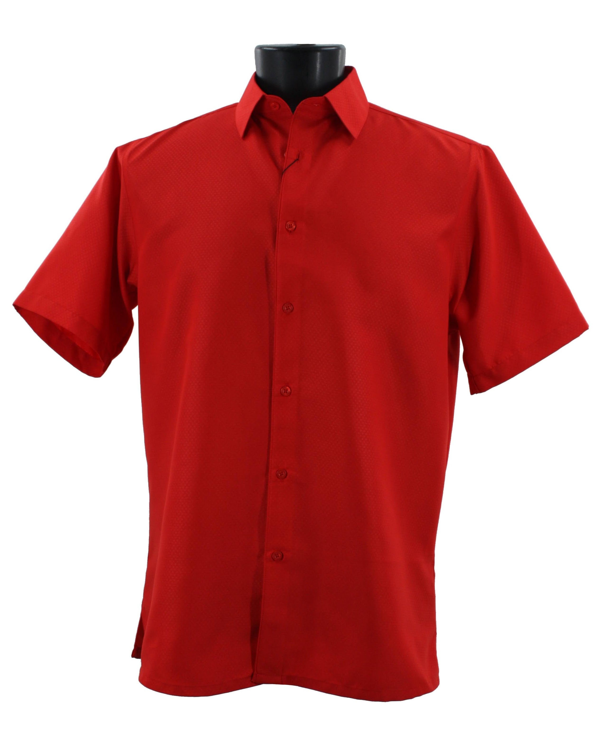 Bassiri Short Sleeve Shirt 65791 main image 0