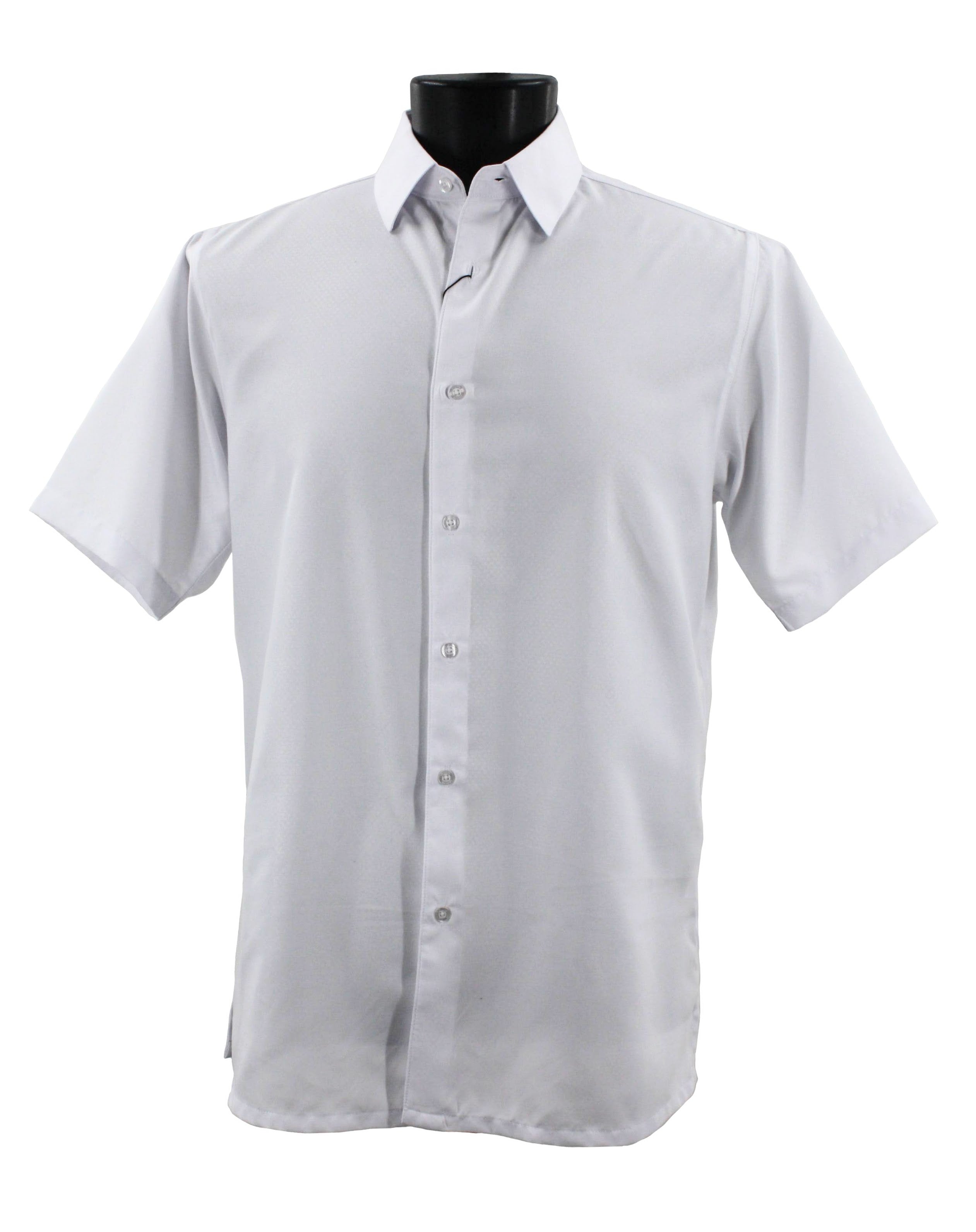 Bassiri Short Sleeve Shirt 62001 main image 1