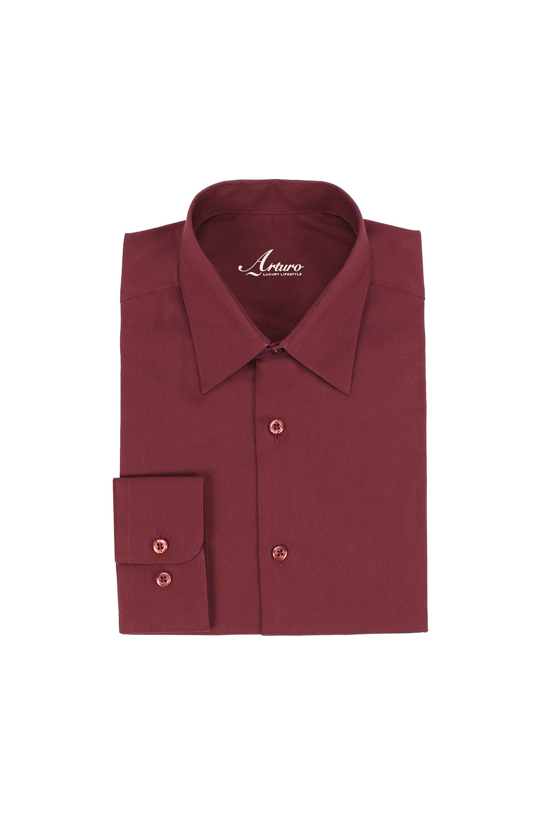 ARTURO Modern Fit Long Sleeve Green Dress Shirt (4X to 6X)