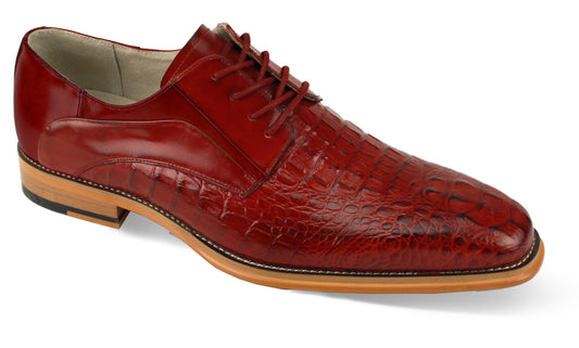 The Giovanni Mason Red Leather Shoes by GIOVANNI, featuring a sleek plain toe design and elegant laces, stand out beautifully against the white background.