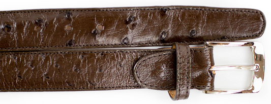 The BELVEDERE Belvedere Ostrich Quill Belt Brown 2001 features textured brown ostrich leather with small round marks, a silver buckle, and an adjustable fit. Shown laid flat on a white background.