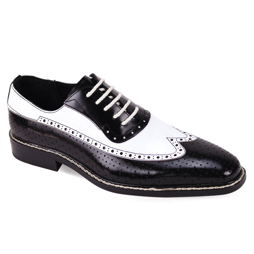 The Giovanni Rio Black/White Leather Shoes by GIOVANNI are a classic wingtip Oxford style, showcasing intricate perforated detailing and an elegant lace design.