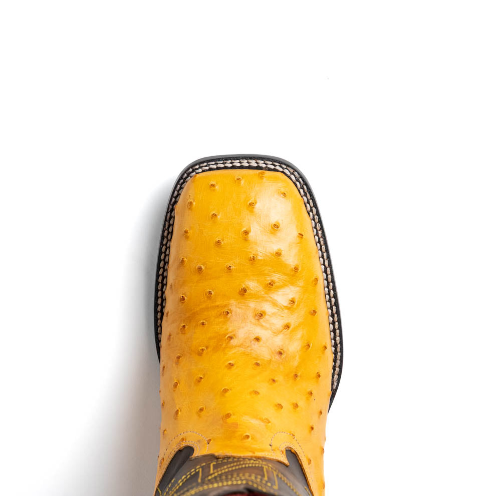 Introducing the Alabama Buttercup by Marco Di Milano: handcrafted cowboy boots with yellow genuine ostrich skin on the foot, dark brown leather shafts, and signature branding embossed on the sole.