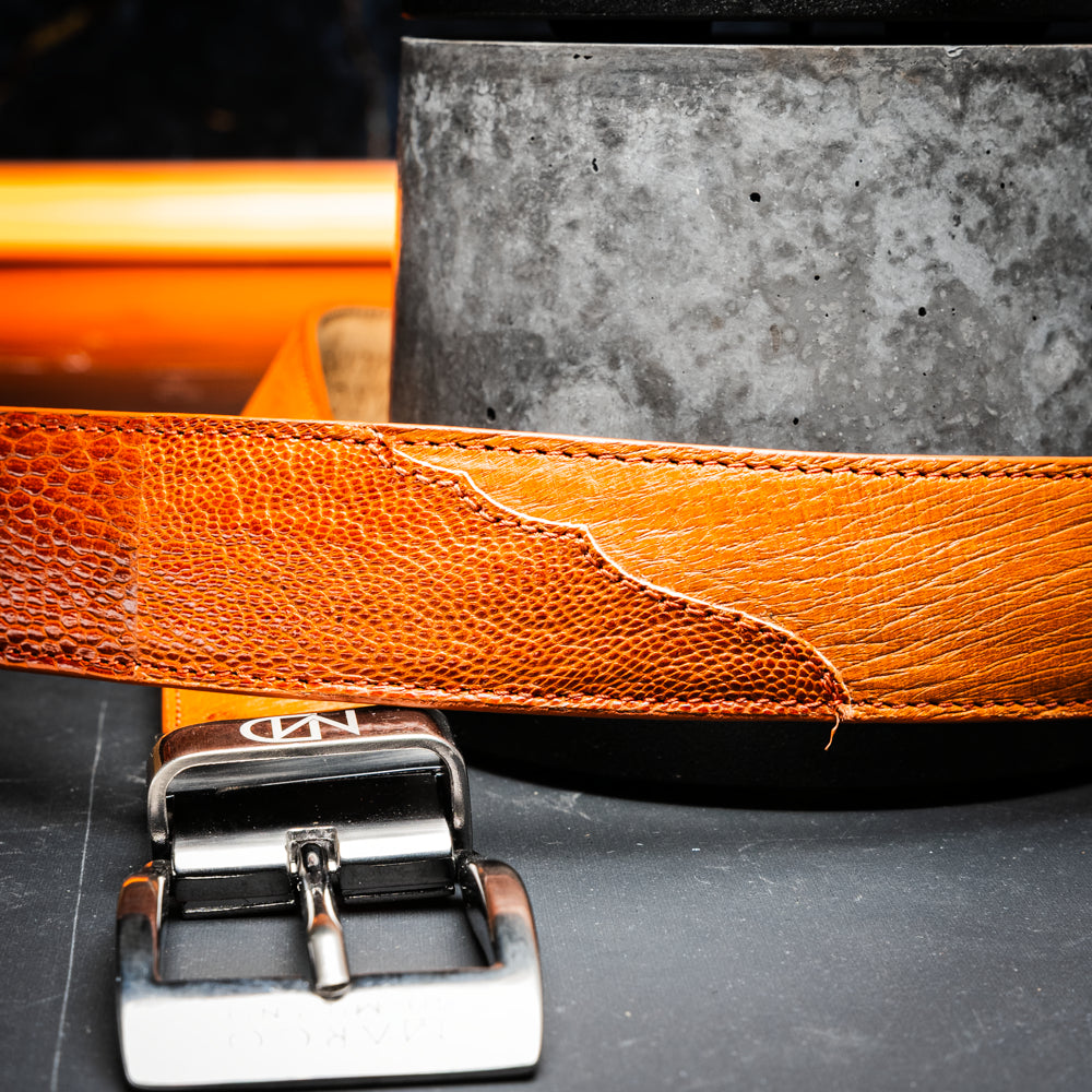 A coiled Alessio Belt Cognac by Marco Di Milano, crafted from genuine ostrich leather in light brown with a textured pattern and a silver buckle engraved with the brand name.
