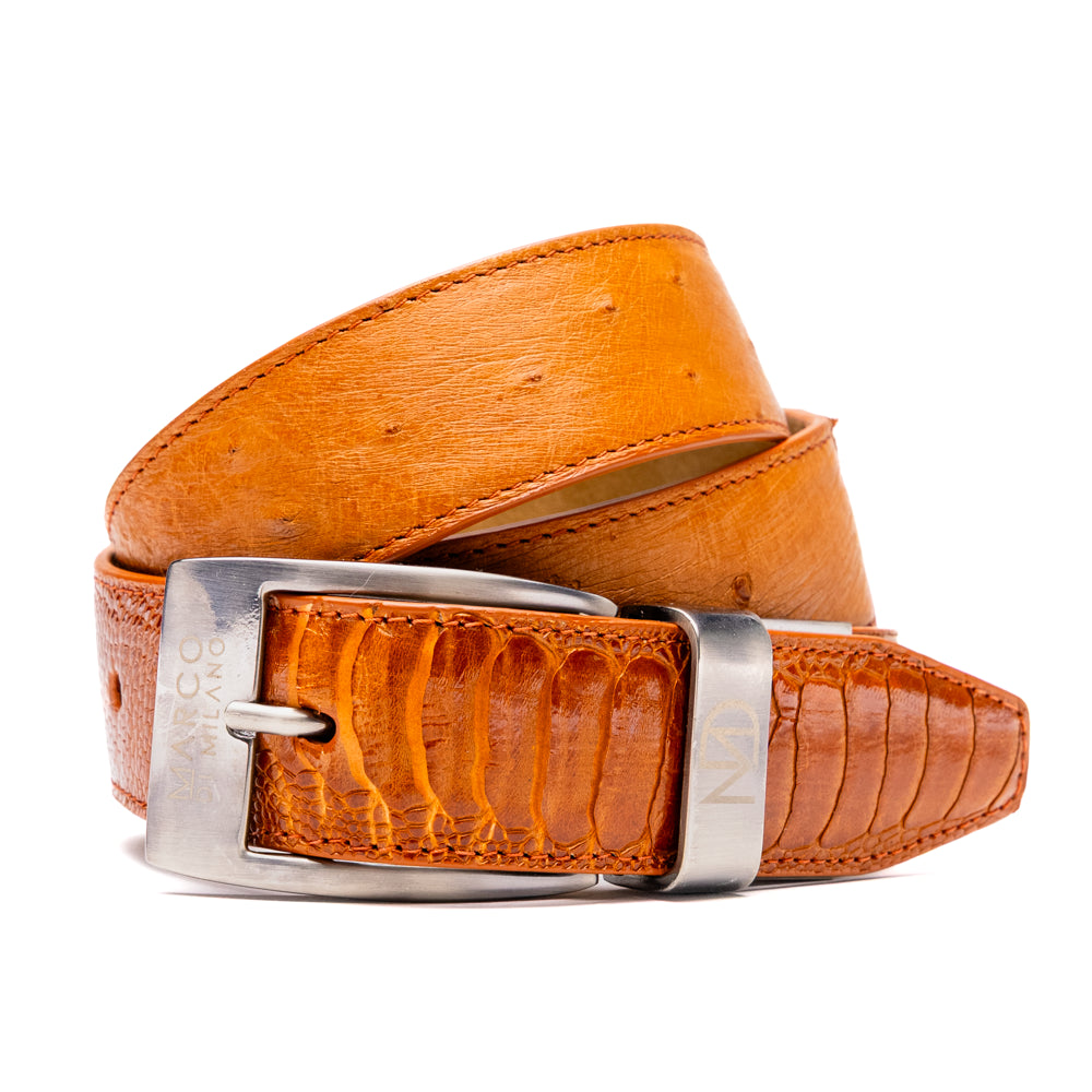 A coiled Alessio Belt Cognac by Marco Di Milano, crafted from genuine ostrich leather in light brown with a textured pattern and a silver buckle engraved with the brand name.