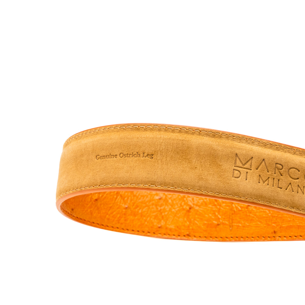 A coiled Alessio Belt Cognac by Marco Di Milano, crafted from genuine ostrich leather in light brown with a textured pattern and a silver buckle engraved with the brand name.