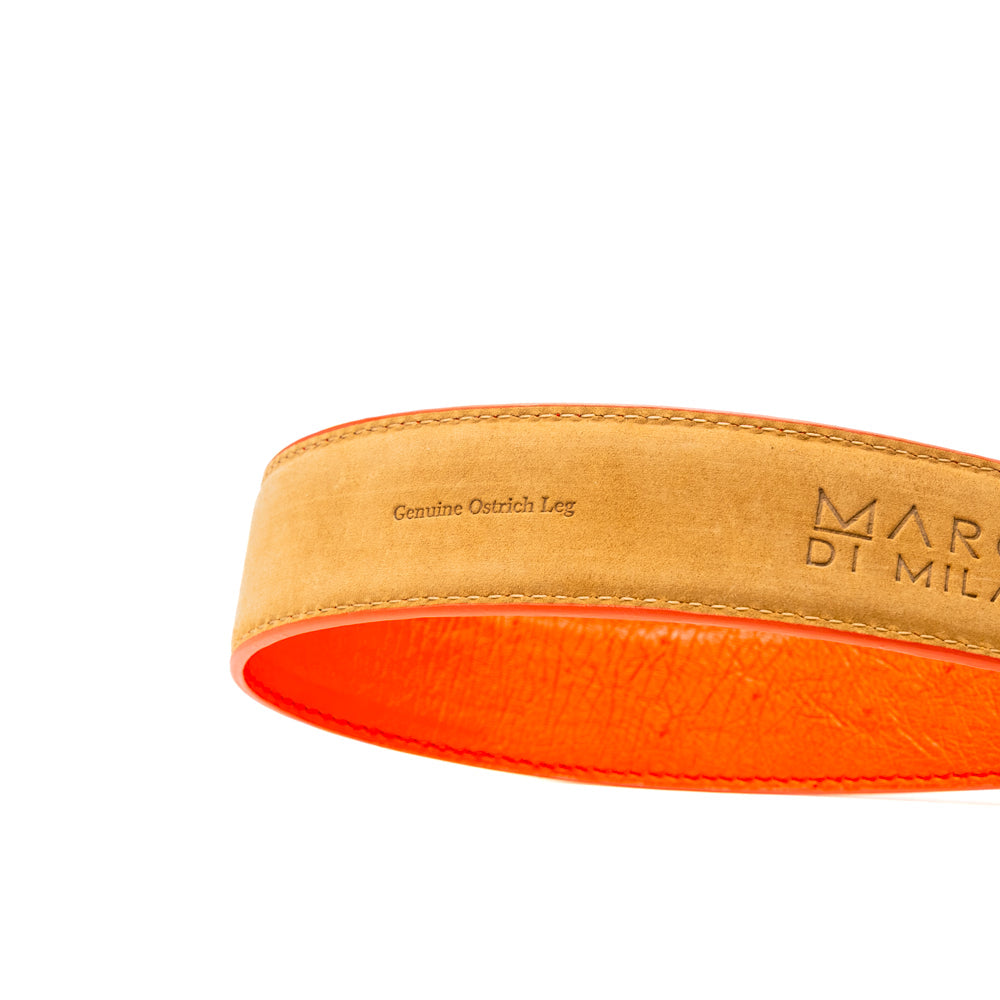 Introducing the Alessio Belt Orange by Marco Di Milano—a striking luxury accessory crafted from genuine ostrich leather. This handcrafted belt features a vibrant orange hue, a distinctive textured pattern, and a silver buckle elegantly engraved with the “Marco Di Milano” branding. Rolled neatly with the buckle facing forward, it highlights its exceptional design and artisanal craftsmanship.