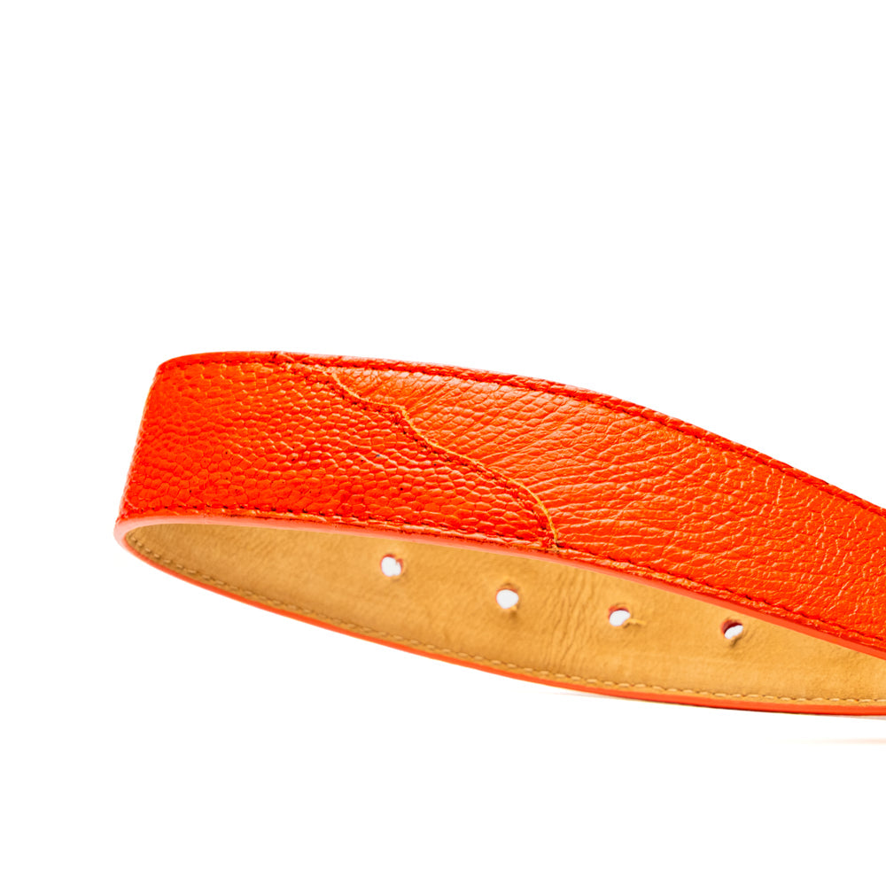 Introducing the Alessio Belt Orange by Marco Di Milano—a striking luxury accessory crafted from genuine ostrich leather. This handcrafted belt features a vibrant orange hue, a distinctive textured pattern, and a silver buckle elegantly engraved with the “Marco Di Milano” branding. Rolled neatly with the buckle facing forward, it highlights its exceptional design and artisanal craftsmanship.