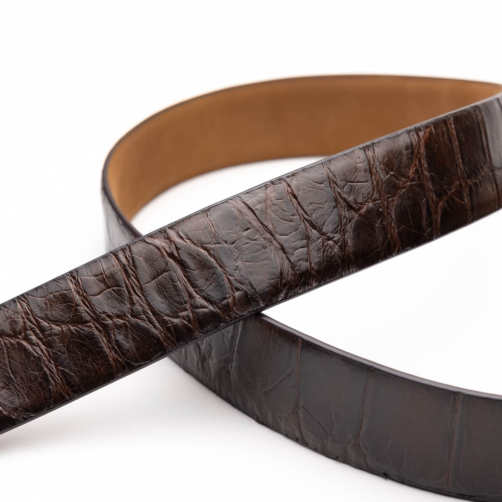 The Emilio Belt Brown by Marco Di Milano is a dark brown genuine alligator belt with a silver "Marco Donini" engraved buckle, coiled on a white background—designed to perfectly complement Marco Di Milano luxury footwear.