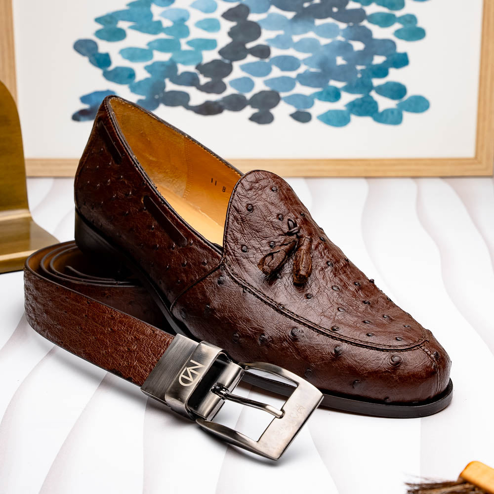 The Marco Di Milano Domenico Belt Brown, featuring a silver "Marco Di Milano"/"MD" engraved buckle, is coiled on a white background—an ideal match for luxury footwear.