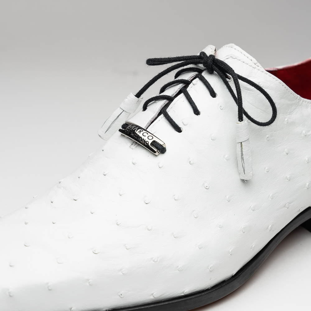 The Criss White by Marco Di Milano is a genuine ostrich quill luxury dress oxford featuring black laces, red inner lining, and a tan leather sole, shown on a white background.