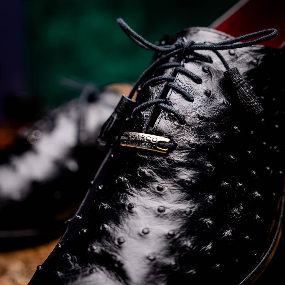 The Marco Di Milano Criss Black is a pair of genuine ostrich quill Oxford shoes with red interior lining and tan leather soles—ideal for luxury footwear enthusiasts seeking refined style.