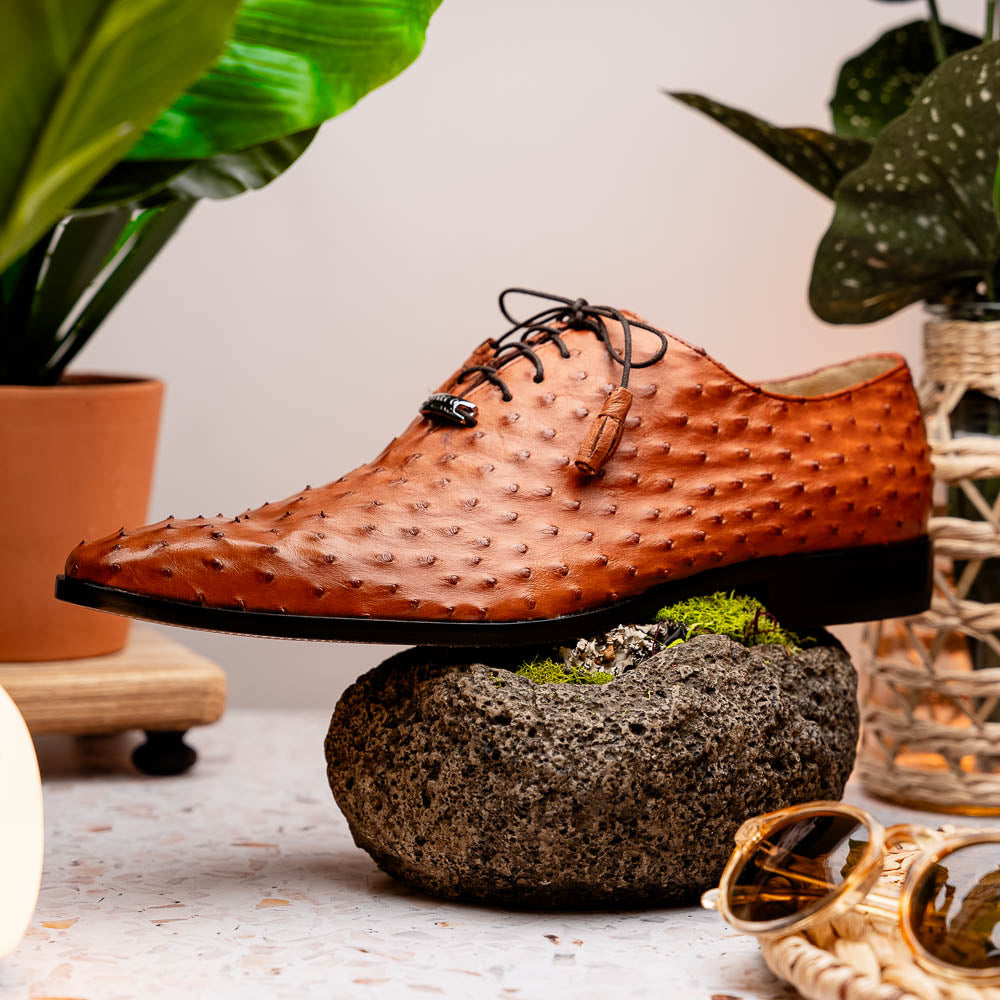 A pair of Criss Brandy genuine ostrich quill leather luxury dress oxfords by Marco Di Milano, with one shoe upright and the other sole up to display the brand name.