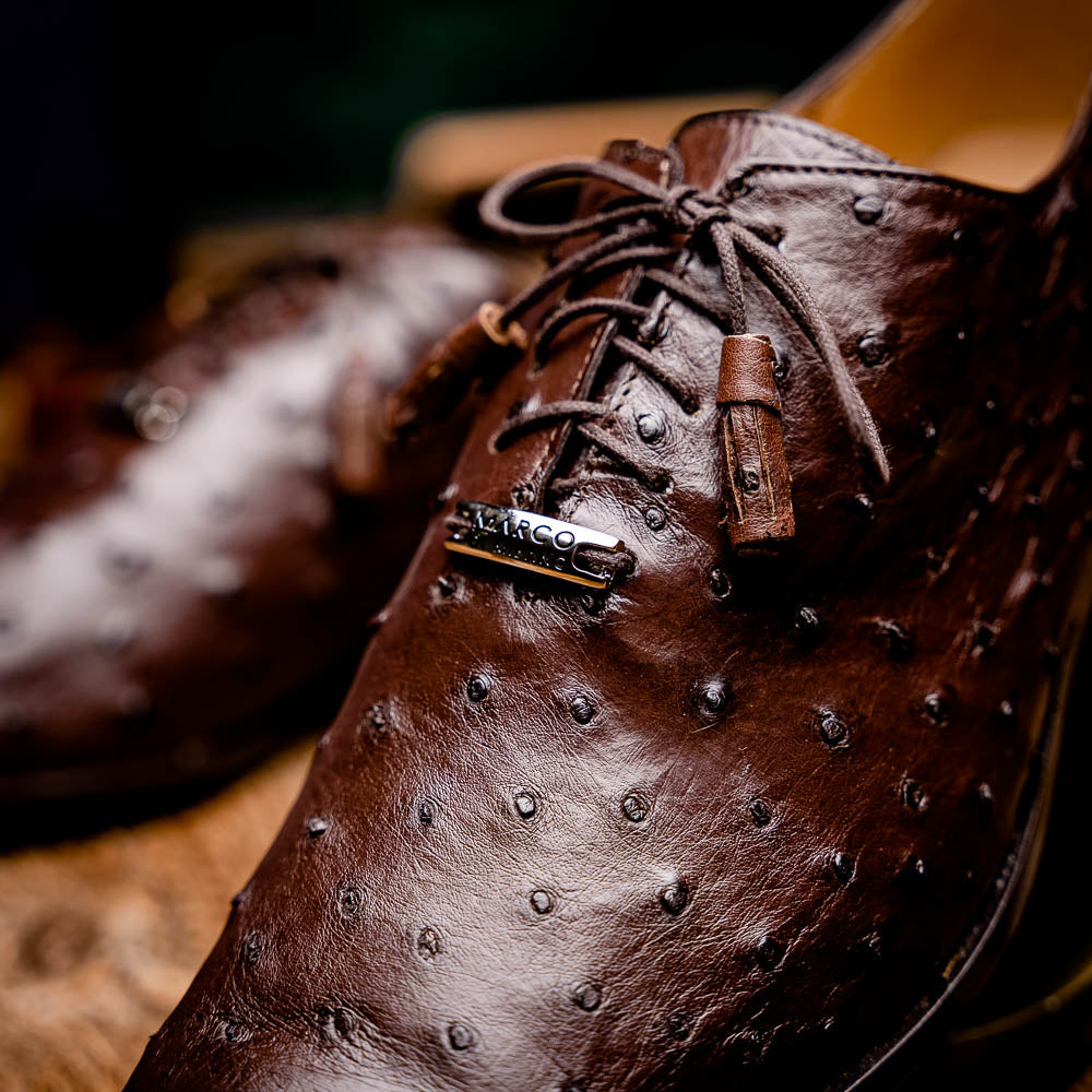 The Criss Brown by Marco Di Milano is a pair of luxury dress oxfords in dark brown genuine ostrich quill leather with decorative laces and a leather sole, shown with one shoe elegantly displayed on its side atop the other.