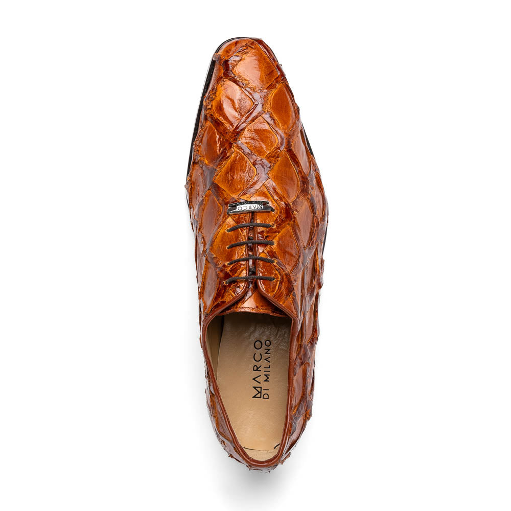 A pair of Olivieri Cognac dress shoes by Marco Di Milano, crafted from brown crocodile leather with black laces—one shoe stands upright, the other shows its sole—ideal for lovers of luxury footwear.