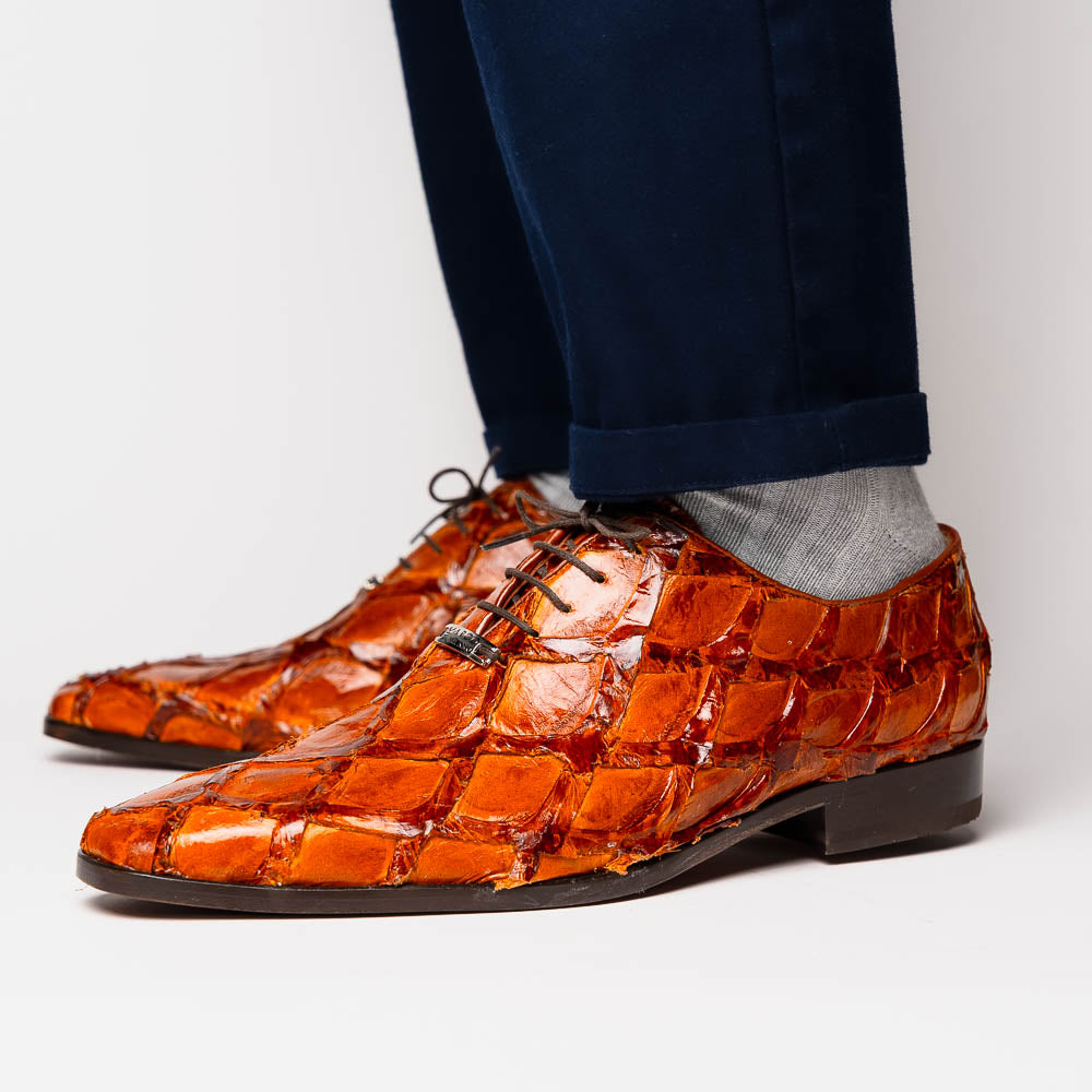 A pair of Olivieri Cognac dress shoes by Marco Di Milano, crafted from brown crocodile leather with black laces—one shoe stands upright, the other shows its sole—ideal for lovers of luxury footwear.