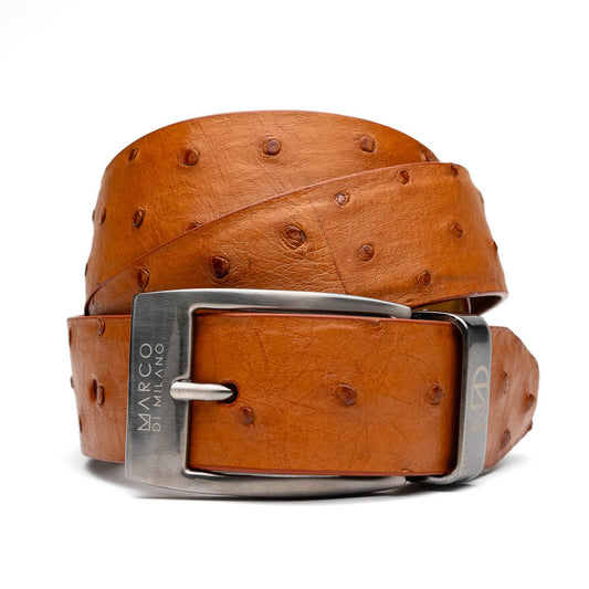 The Domenico Belt Brandy by Marco Di Milano, featuring rich brown ostrich leather and a silver branded buckle, is coiled on a white background—an elegant accessory to complement luxury footwear.