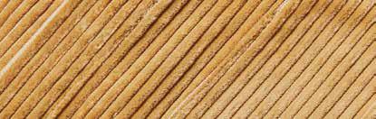 A person wearing the Inserch 4-Pocket Cord Suit BL267-09 Khaki with an adjustable back tab over a white turtleneck sweater.