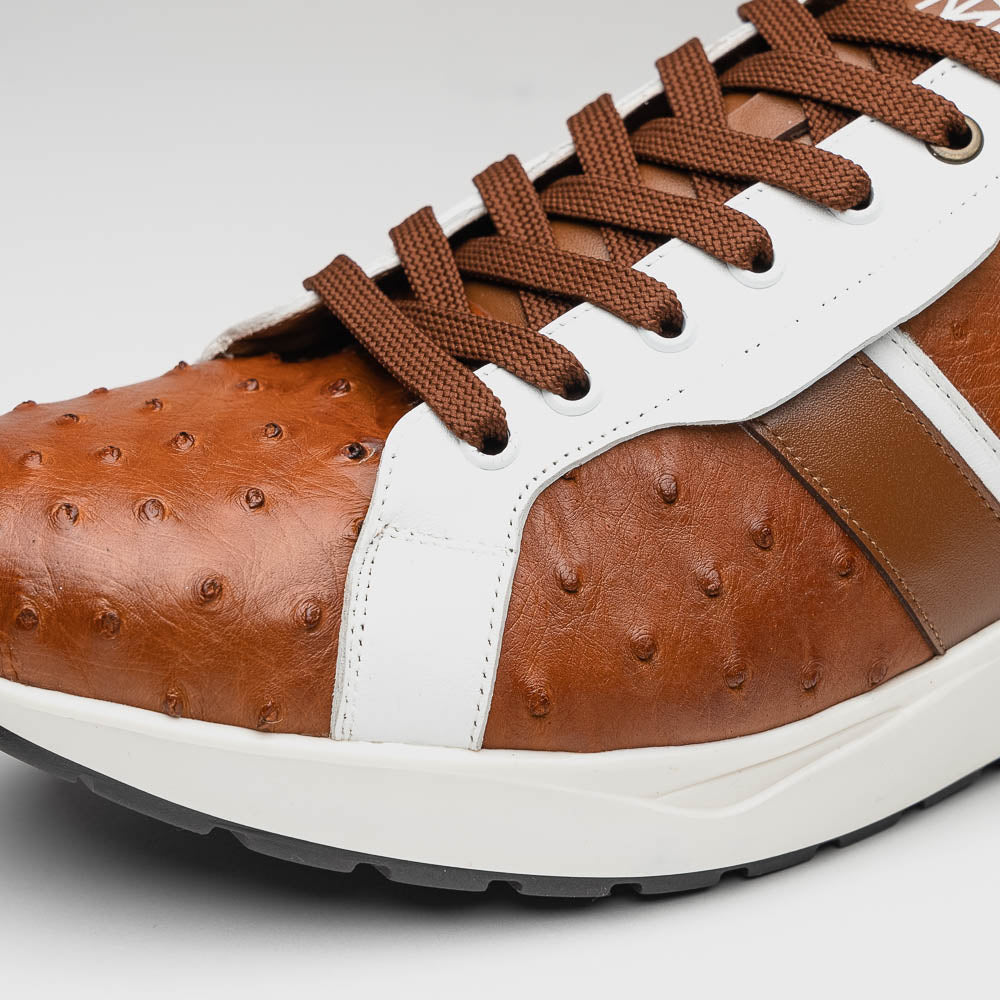 The Lyon II Brandy / White sneakers by Marco Di Milano feature a textured brown and white leather upper, white soles, and brown laces—a true statement in luxury footwear, shown against a plain white background.
