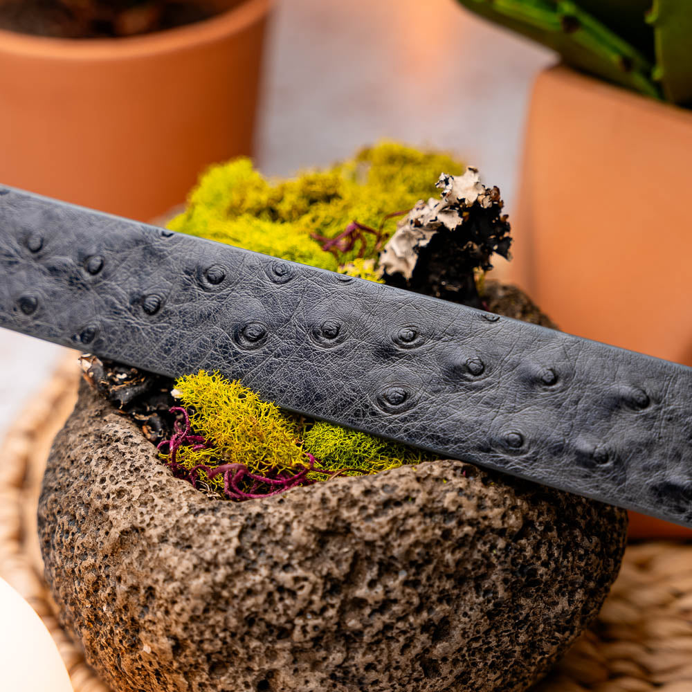 The Domenico Belt Antique Gray by Marco Di Milano, crafted from ostrich leather with a silver logo buckle, is coiled in a loop against a white background—an essential accessory for lovers of luxury footwear and premium belts.