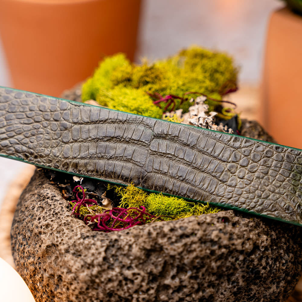 The Riccardo Belt Rustic Olive by Marco Di Milano features rustic olive caiman fuscus leather with a crocodile pattern, finished with a silver buckle engraved with the brand logo and coiled neatly.