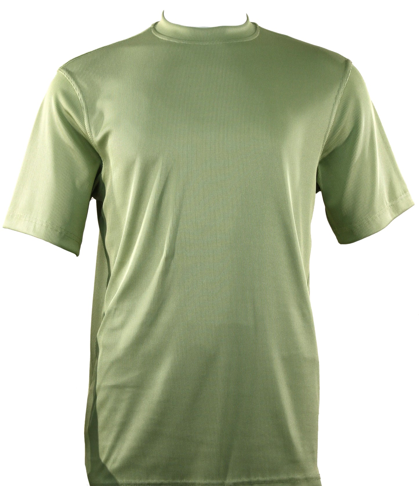 The Bassiri S/S Mock-Neck Mint T-Shirt 218, by the brand Bassiri, is showcased in a calming mint color against a white background.