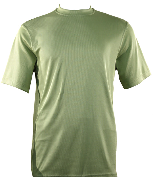 The Bassiri S/S Mock-Neck Mint T-Shirt 218, by the brand Bassiri, is showcased in a calming mint color against a white background.