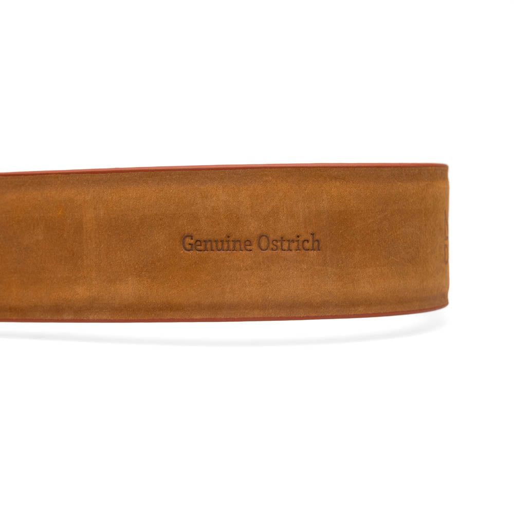 The Domenico Belt Brandy by Marco Di Milano, featuring rich brown ostrich leather and a silver branded buckle, is coiled on a white background—an elegant accessory to complement luxury footwear.