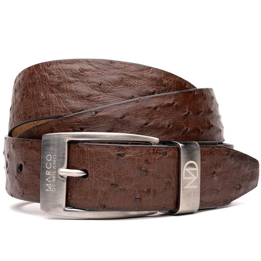 The Marco Di Milano Domenico Belt Brown, featuring a silver "Marco Di Milano"/"MD" engraved buckle, is coiled on a white background—an ideal match for luxury footwear.