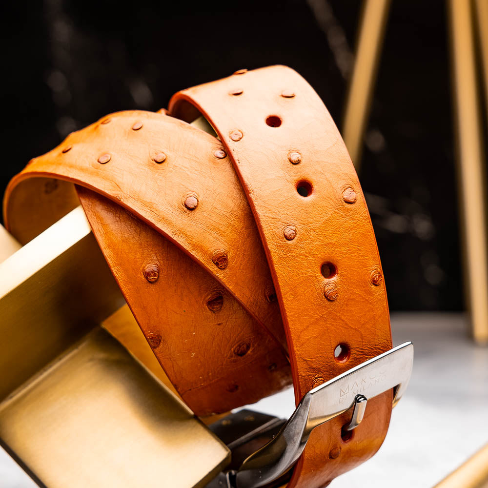 The Domenico Belt Brandy by Marco Di Milano, featuring rich brown ostrich leather and a silver branded buckle, is coiled on a white background—an elegant accessory to complement luxury footwear.