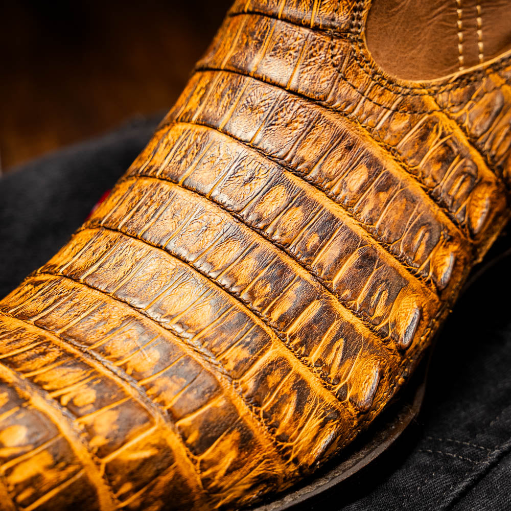 The Phoenix Mustard Brown by Marco Di Milano is a pair of Western boots in genuine caiman belly leather with a textured exotic finish and branded sole, shown against a white background.