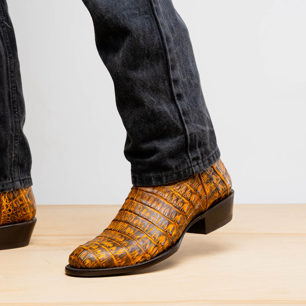 The Phoenix Mustard Brown by Marco Di Milano is a pair of Western boots in genuine caiman belly leather with a textured exotic finish and branded sole, shown against a white background.