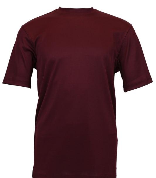 The Bassiri S/S Mock-Neck Plum T-Shirt 218, crafted for a comfortable fit and ideal for daily use, is elegantly displayed against a crisp white background.