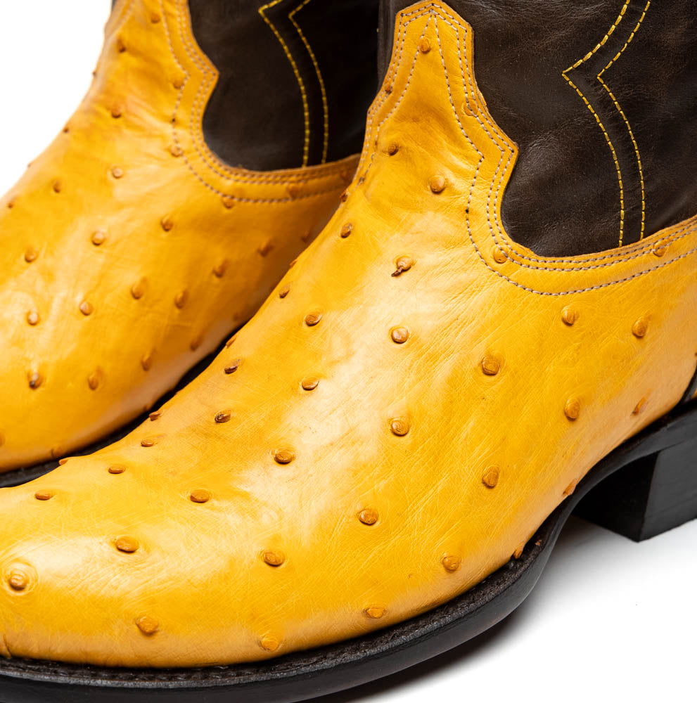 Savannah Buttercup by Marco Di Milano: two-tone Western cowboy boots featuring yellow genuine ostrich leather foot, dark brown leather shaft, yellow stitching, and branded sole.