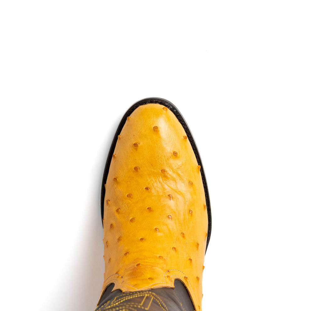 Savannah Buttercup by Marco Di Milano: two-tone Western cowboy boots featuring yellow genuine ostrich leather foot, dark brown leather shaft, yellow stitching, and branded sole.
