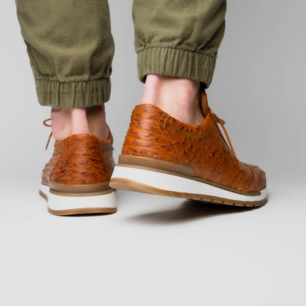 The Scanno Antique Cognac by Marco Di Milano is a brown leather sneaker with an ostrich-patterned, hand-painted finish, white midsole, brown outsole, and brand logo on the tongue—ideal for genuine ostrich quill sneaker fans. Photographed on a plain background.