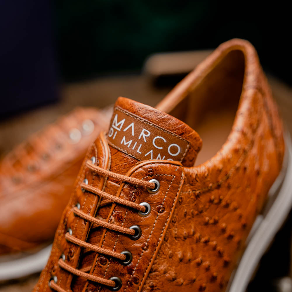 The Scanno Antique Cognac by Marco Di Milano is a brown leather sneaker with an ostrich-patterned, hand-painted finish, white midsole, brown outsole, and brand logo on the tongue—ideal for genuine ostrich quill sneaker fans. Photographed on a plain background.