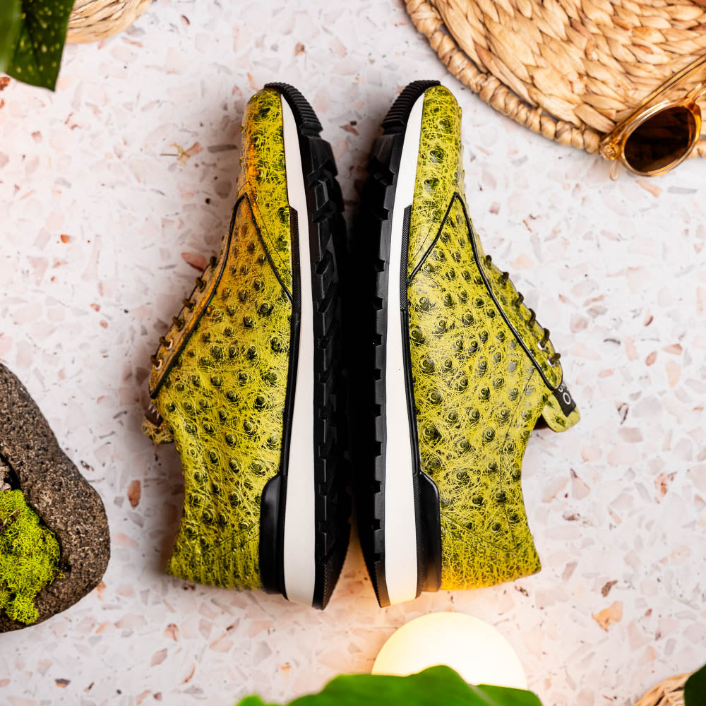 The Marco Di Milano Scanno Antique Green sneakers feature textured genuine ostrich quill in green, black laces, and white soles, with one shoe upright and the other propped beneath—exuding luxury footwear style.