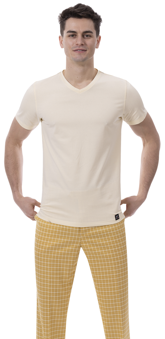 A person dressed in a cream-colored V-neck T-shirt and EJ SAMUEL's EJ Samuel Yellow Plaid Pants PL144 stands with hands on hips.
